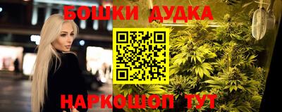 гашик Будённовск