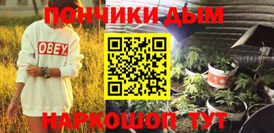 гашик Будённовск