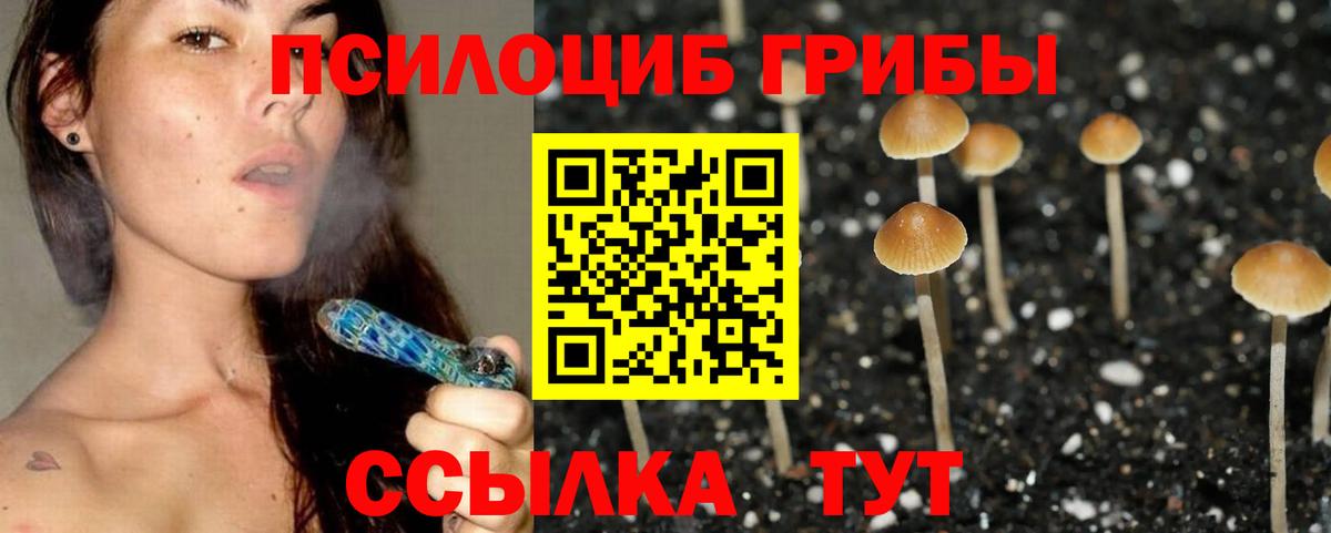 Галлюциногенные грибы прущие грибы Кореновск