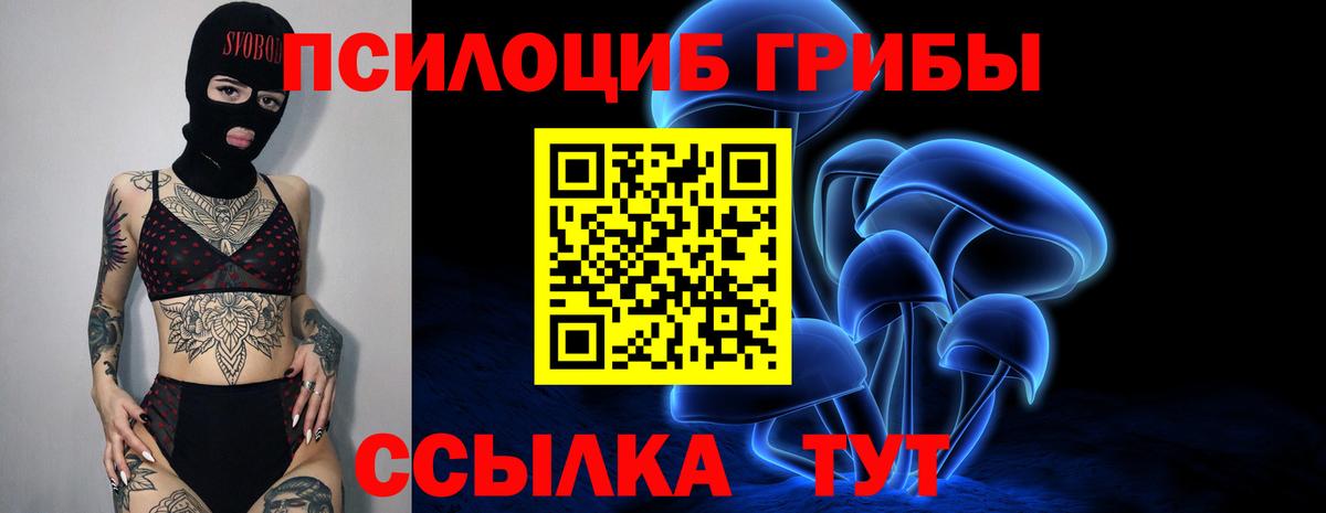 Галлюциногенные грибы прущие грибы  Вход с VPN  Галлюциногенные грибы Psilocybe  Кореновск 