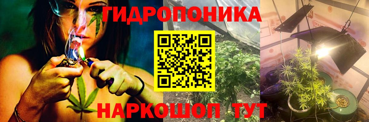 Конопля индика Кореновск