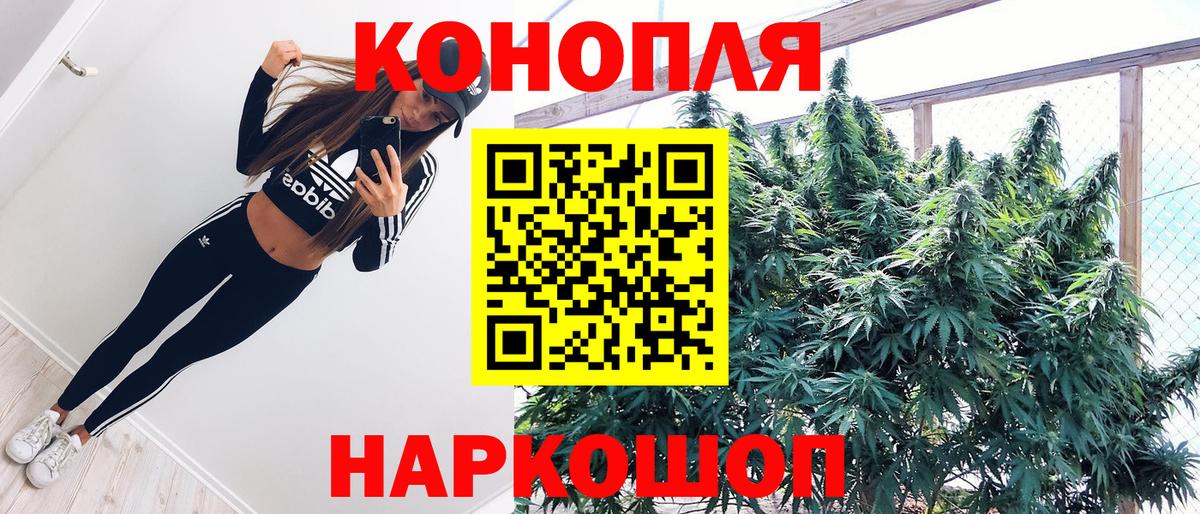 Бошки Шишки конопля  Шишки марихуана тримм  Кореновск  Шишки марихуана марихуана  Вход с VPN 